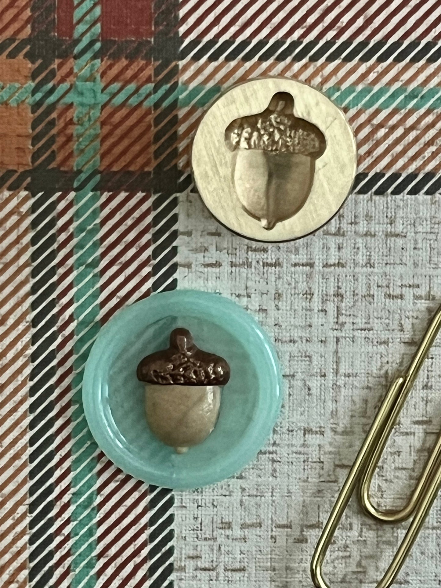 Chunky Acorn