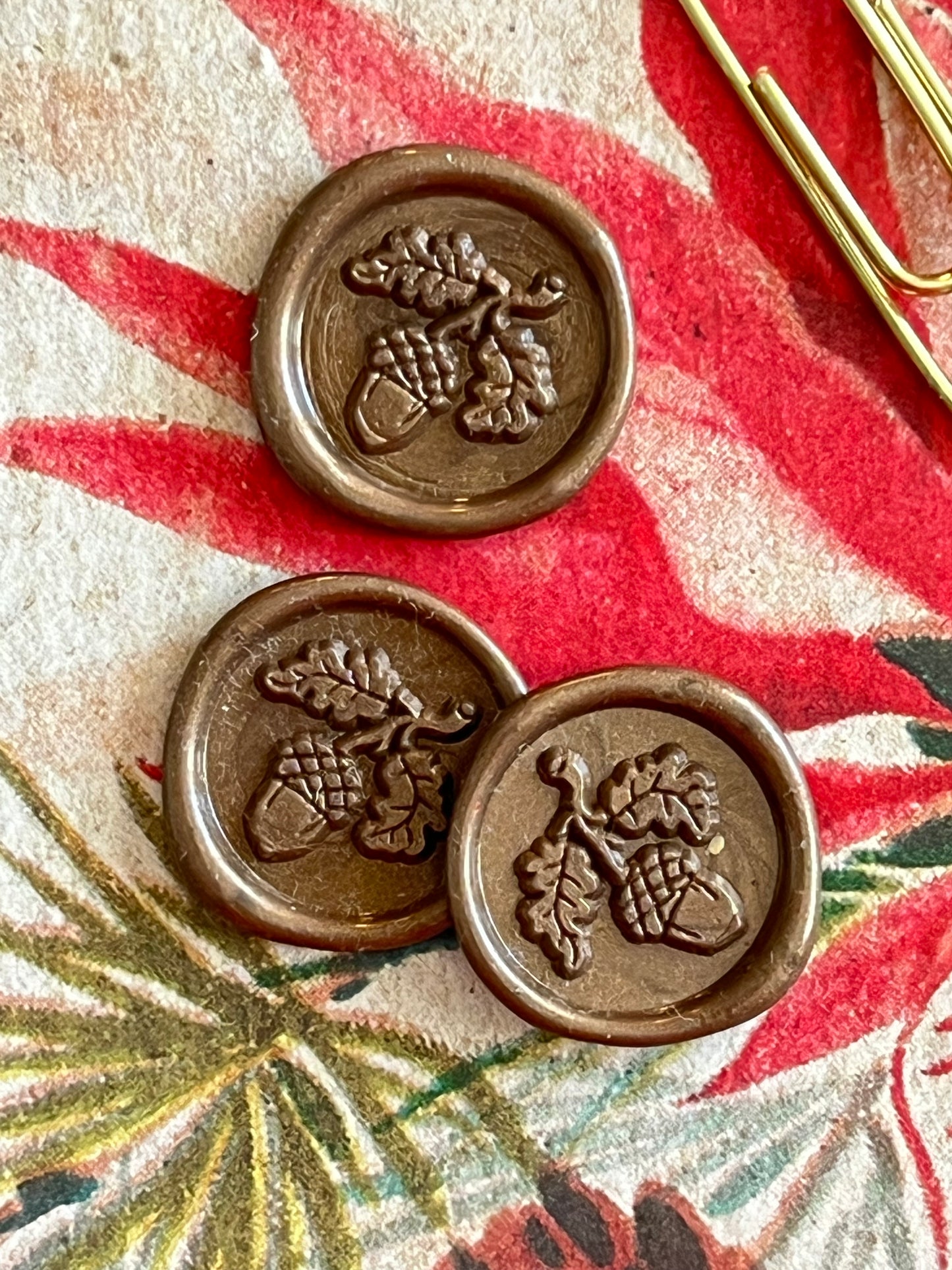 Acorn/Tree