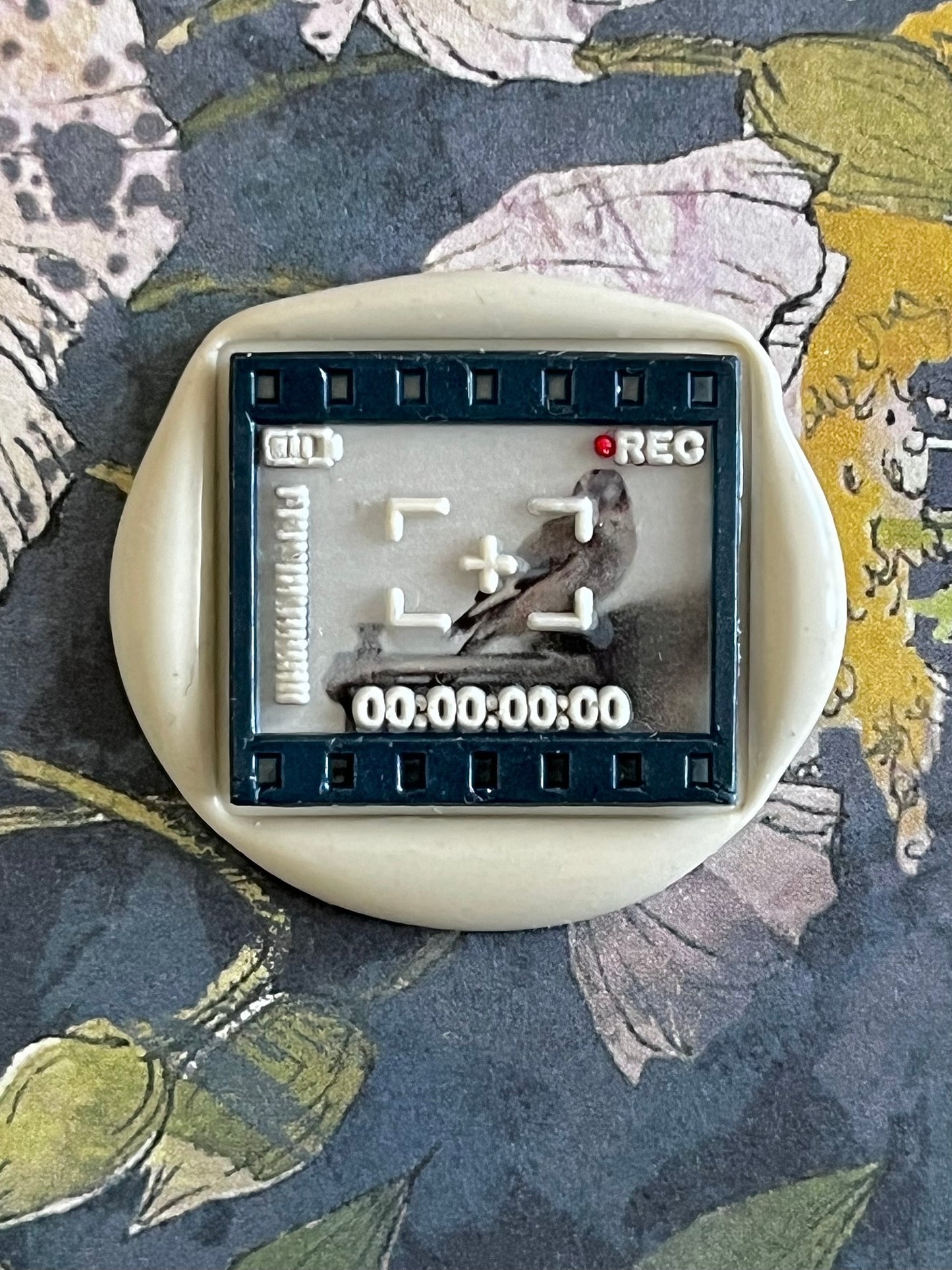 In Focus