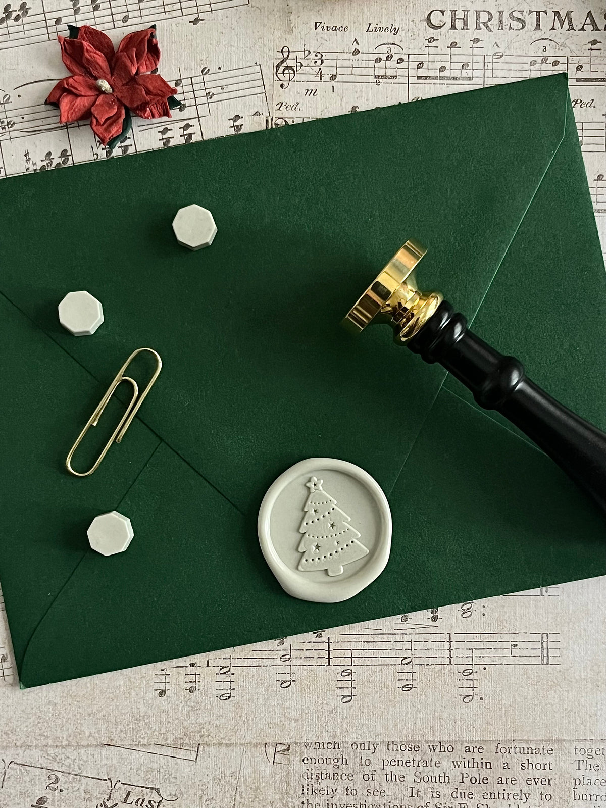 Star Trimmed