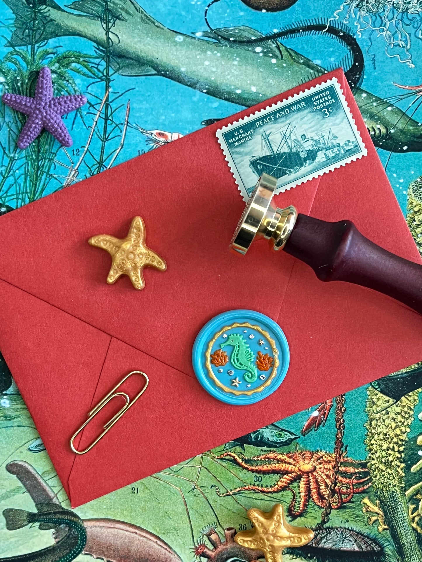 Star Studded Seahorse