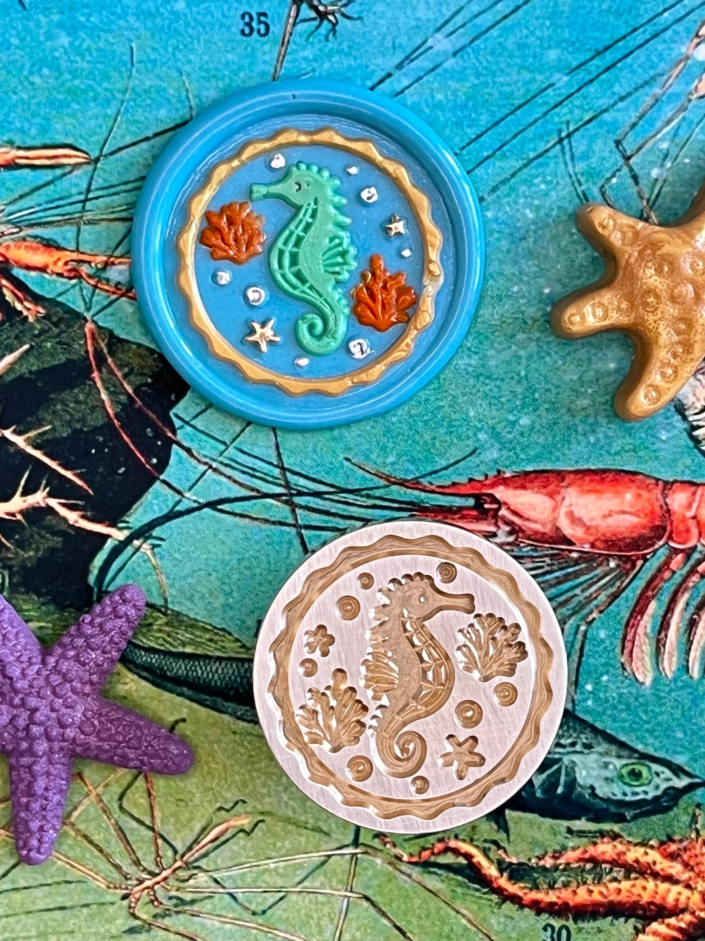 Star Studded Sea Horse