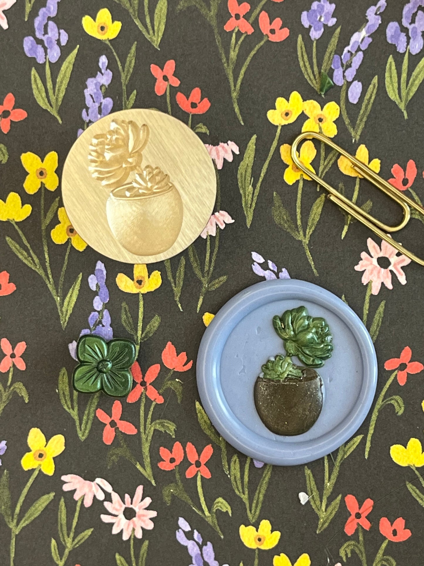 Potted Succulent