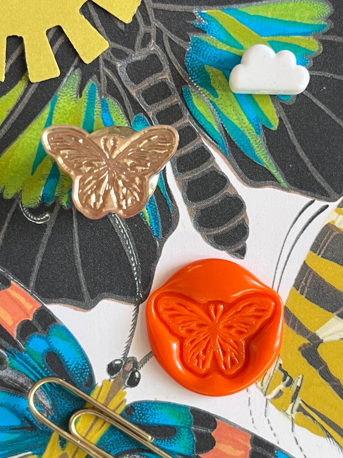Shaped Butterfly