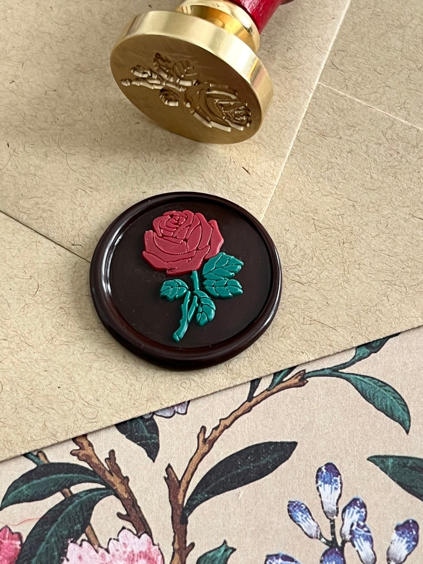 Rose in Bloom