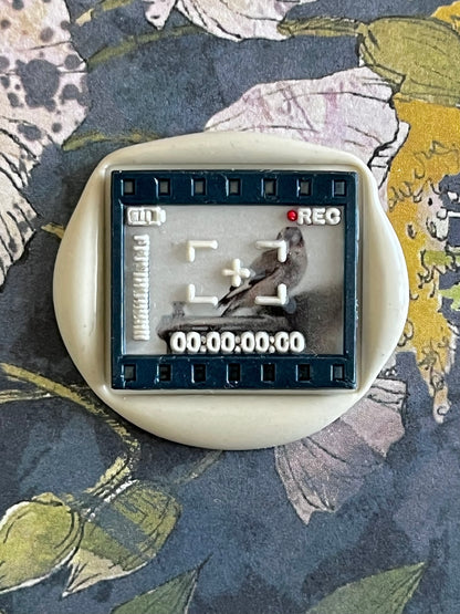 In Focus