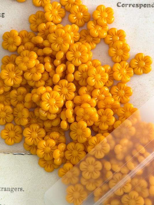 Marigold