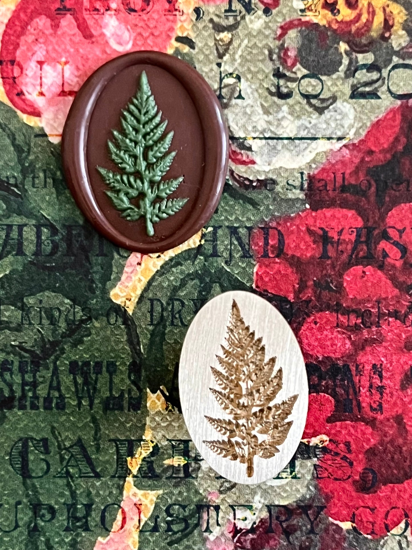 Fern