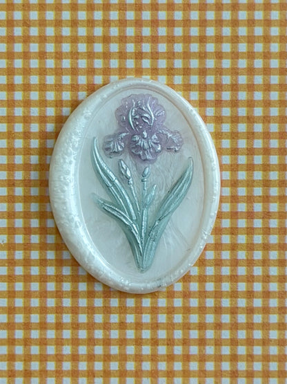 Bearded Iris