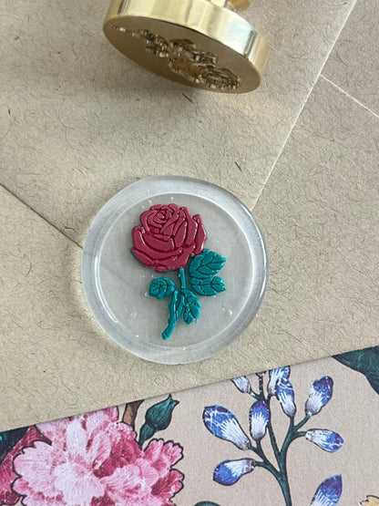 Rose in Bloom