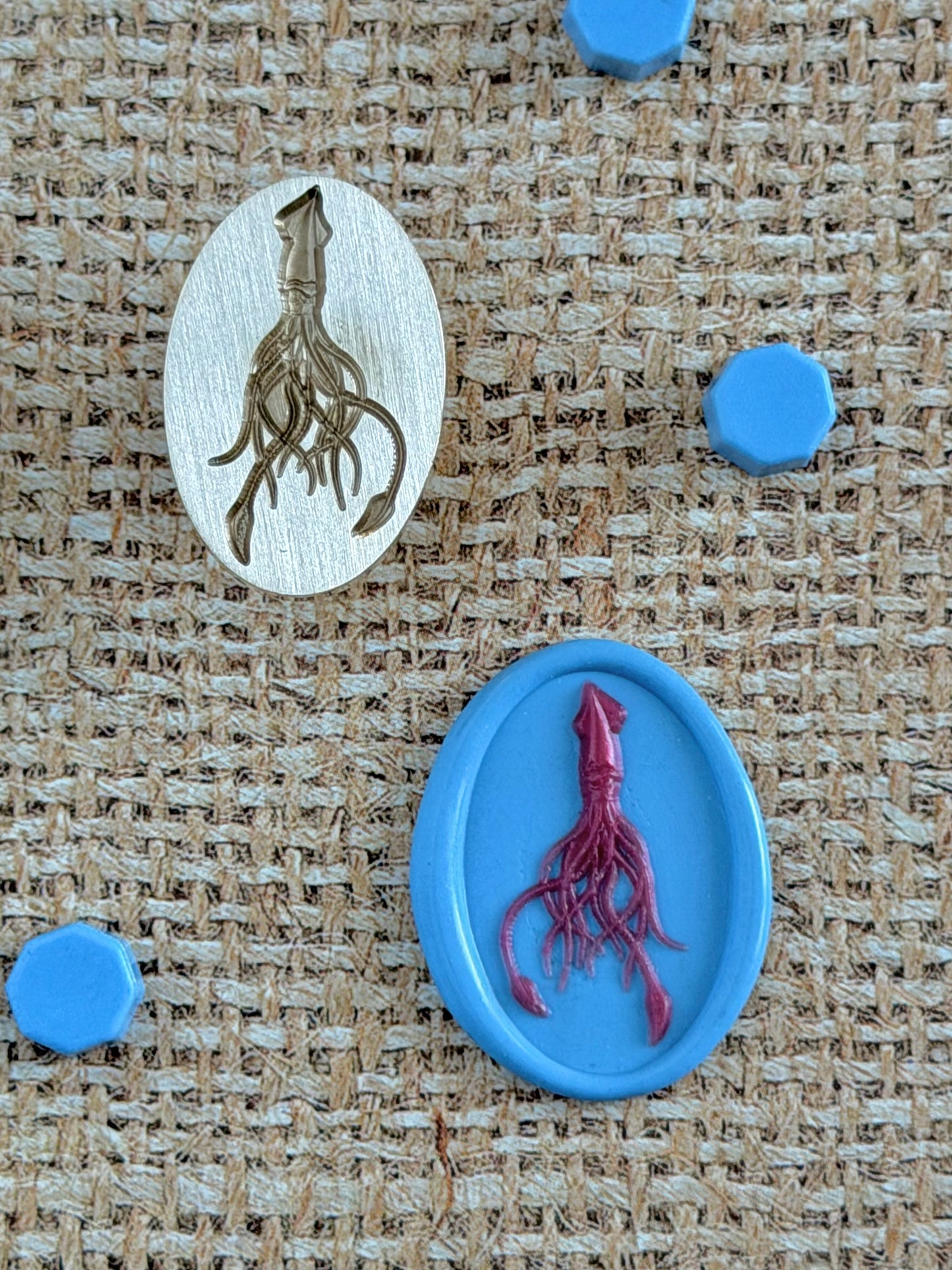 Squid