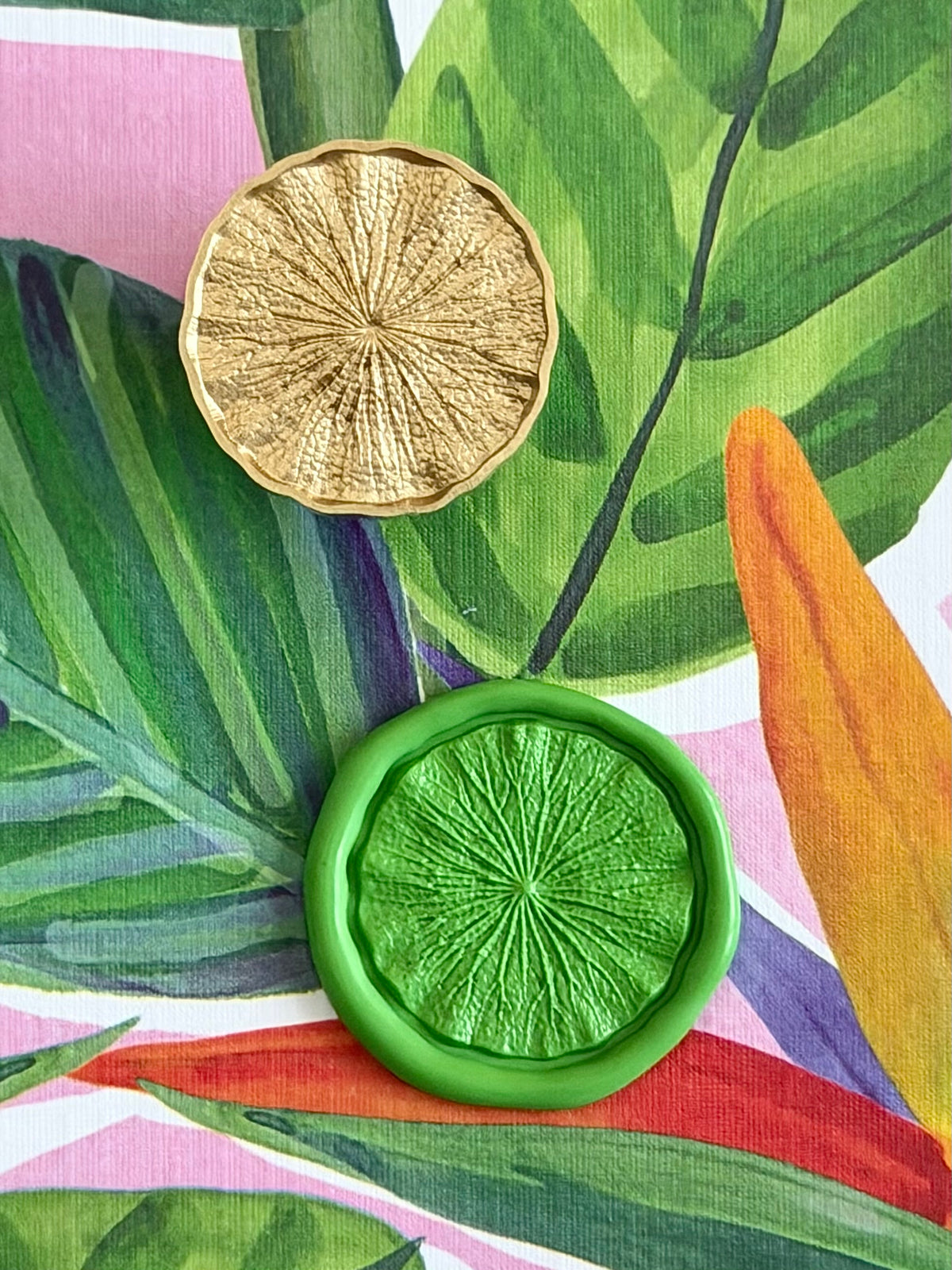 Lilypad