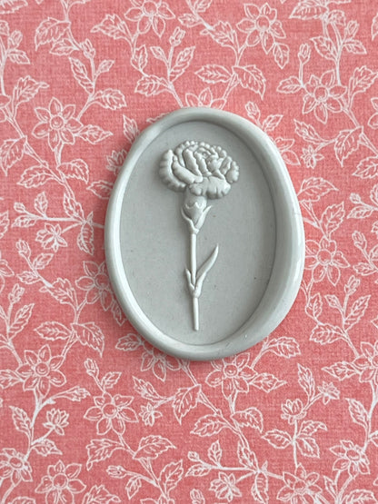 A Single Carnation