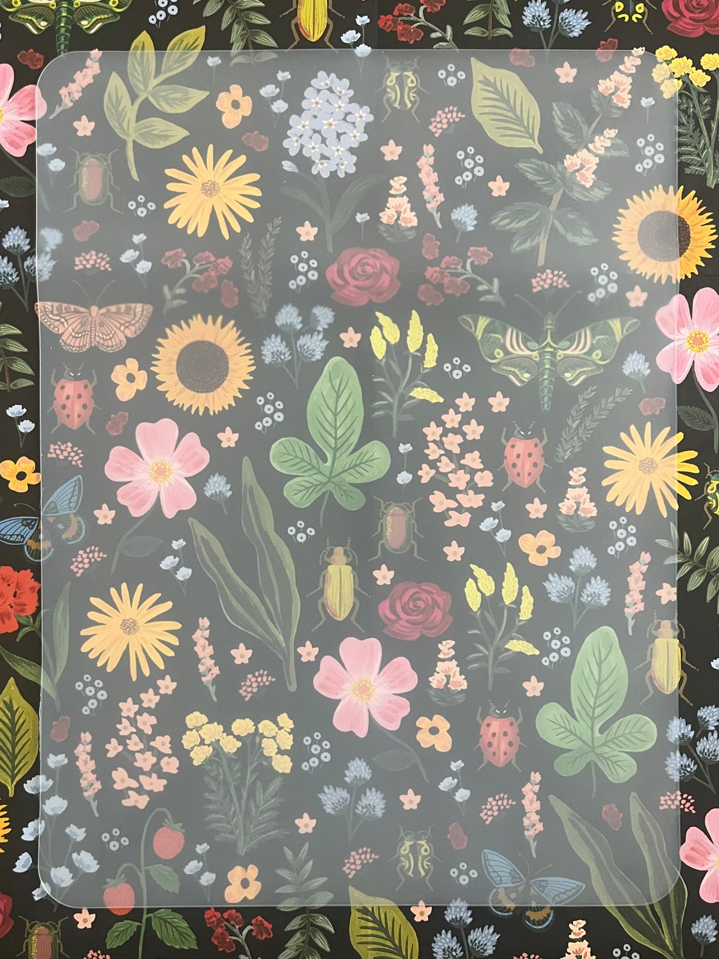Large Transparent Mat