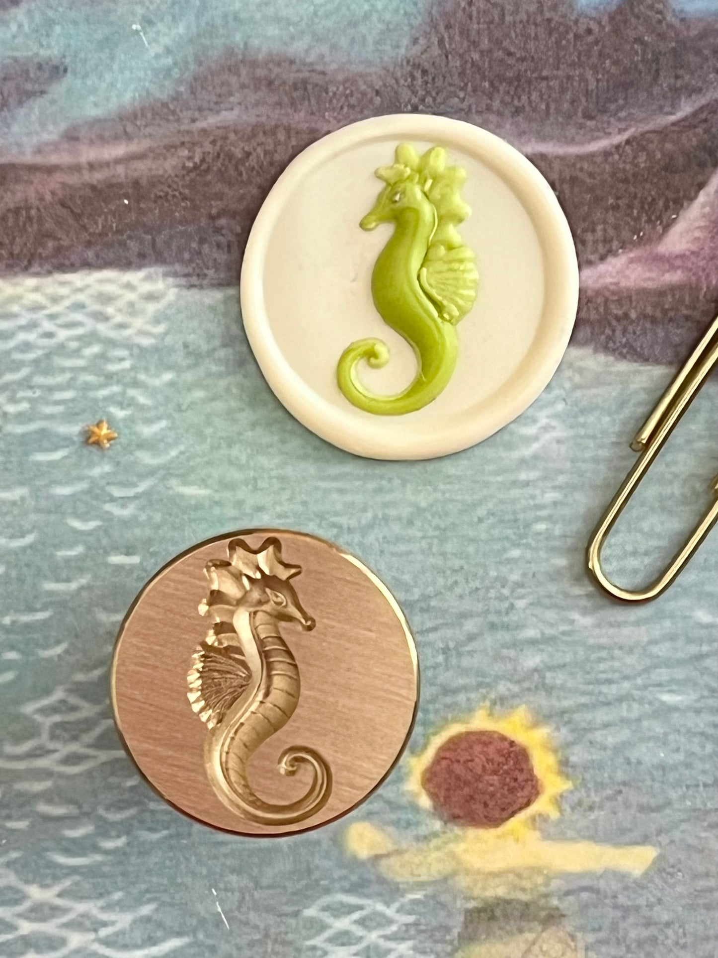 Tiny Seahorse