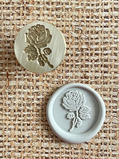 Rose in Bloom
