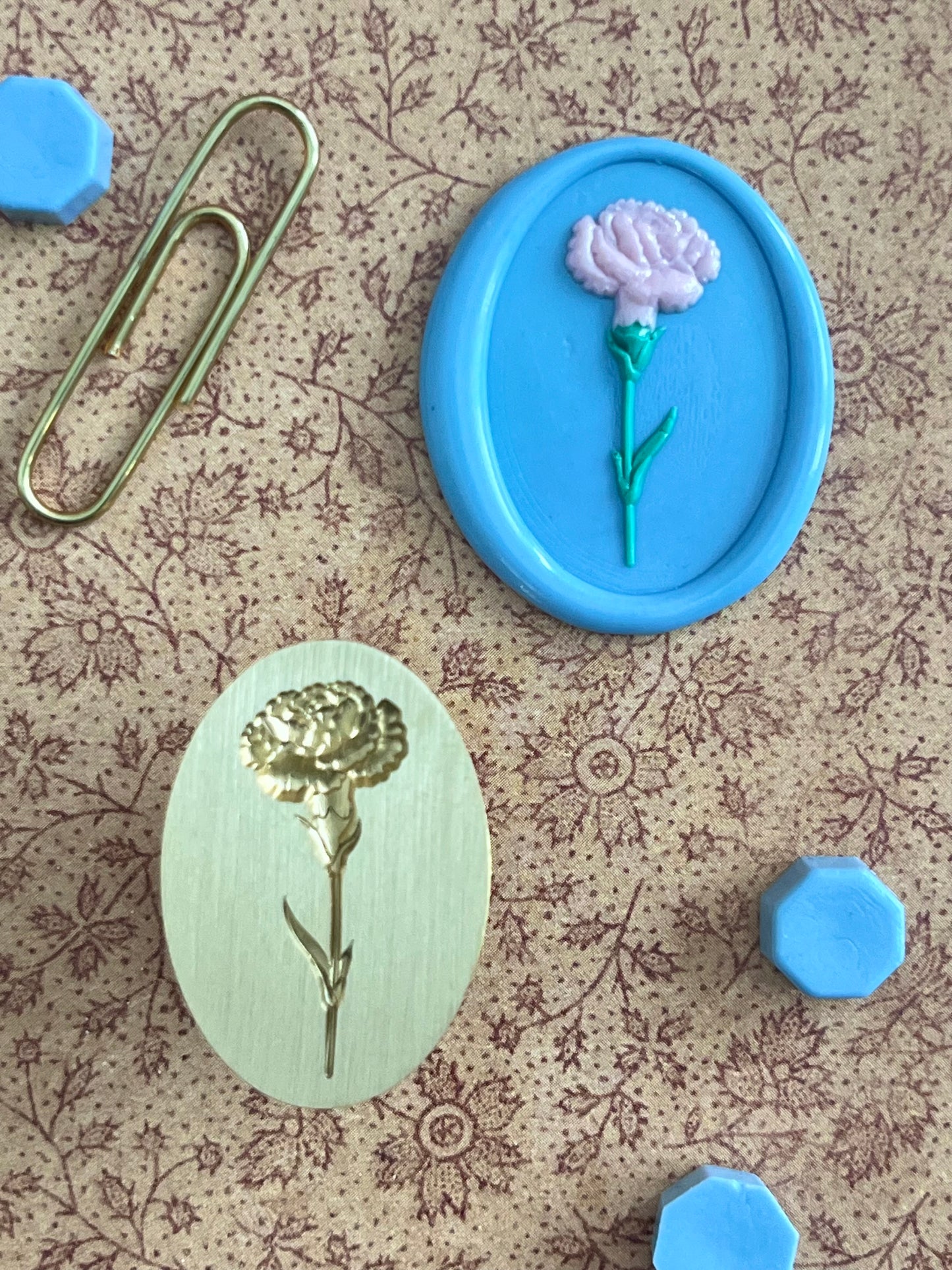 A Single Carnation